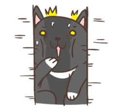 Cats are all around sticker #11519506