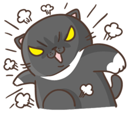 Cats are all around sticker #11519514