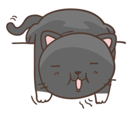 Cats are all around sticker #11519516