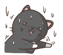 Cats are all around sticker #11519518