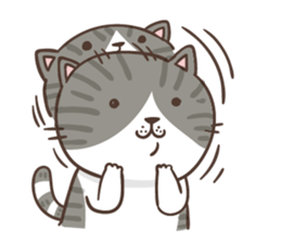 Cats are all around sticker #11519532