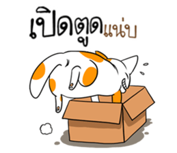 Playful cat. sticker #11521257