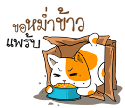Playful cat. sticker #11521259