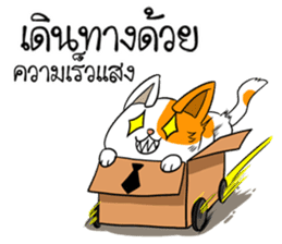 Playful cat. sticker #11521261