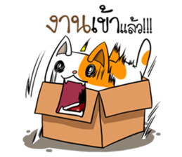 Playful cat. sticker #11521264