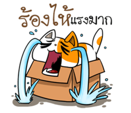 Playful cat. sticker #11521267