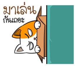 Playful cat. sticker #11521268