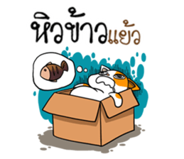 Playful cat. sticker #11521271