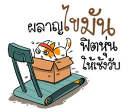 Playful cat. sticker #11521273