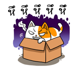 Playful cat. sticker #11521274