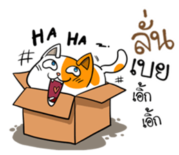 Playful cat. sticker #11521275