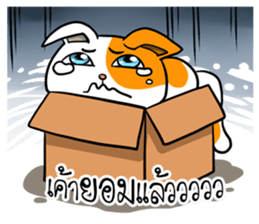 Playful cat. sticker #11521277