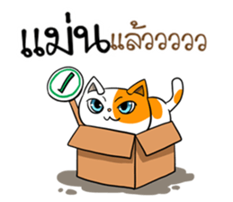 Playful cat. sticker #11521279