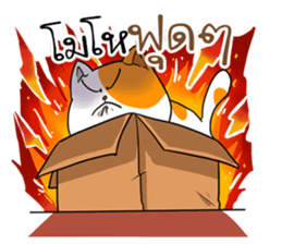 Playful cat. sticker #11521282