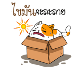 Playful cat. sticker #11521283