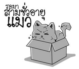 Playful cat. sticker #11521287