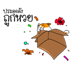 Playful cat. sticker #11521288