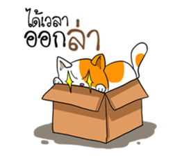 Playful cat. sticker #11521289