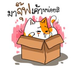 Playful cat. sticker #11521290