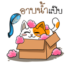Playful cat. sticker #11521291