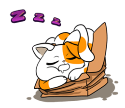 Playful cat. sticker #11521292