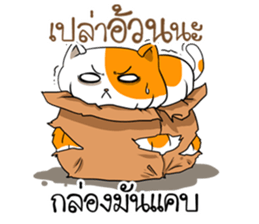 Playful cat. sticker #11521293