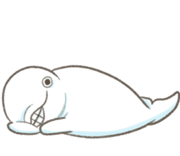 Shiro-tan: the Mild Beluga 2 sticker #11522313