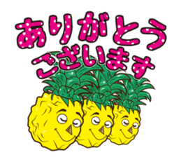 Mr.Aloha Pineapple sticker #11525062