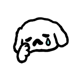 Cute white pekingese dog sticker #11526587