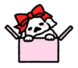 Cute white pekingese dog sticker #11526597