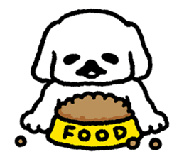 Cute white pekingese dog sticker #11526600