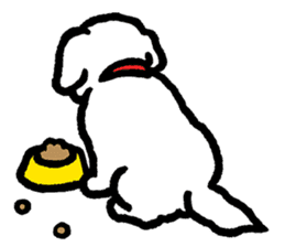 Cute white pekingese dog sticker #11526601