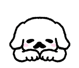 Cute white pekingese dog sticker #11526608