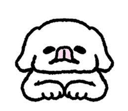 Cute white pekingese dog sticker #11526609