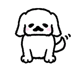 Cute white pekingese dog sticker #11526610