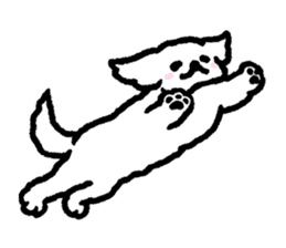 Cute white pekingese dog sticker #11526611