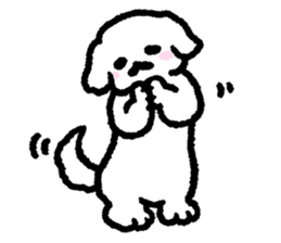 Cute white pekingese dog sticker #11526613