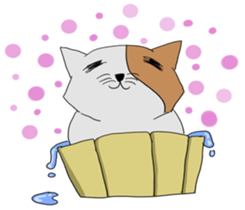 Ai cat sticker #11529079