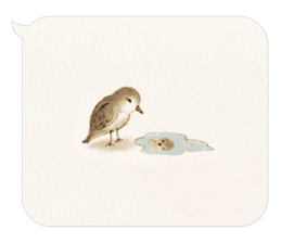 Animals of the never-never land -w- sticker #11530547