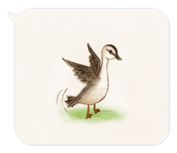 Animals of the never-never land -w- sticker #11530555