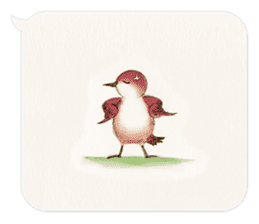 Animals of the never-never land -w- sticker #11530556