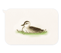 Animals of the never-never land -w- sticker #11530563