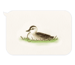 Animals of the never-never land -w- sticker #11530563