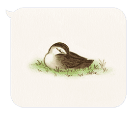 Animals of the never-never land -w- sticker #11530575