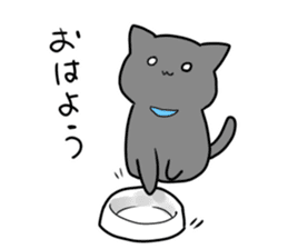 The cat which wants to satisfy hunger. sticker #11532698