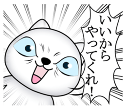 Cat of dark blue eyes sticker #11532940