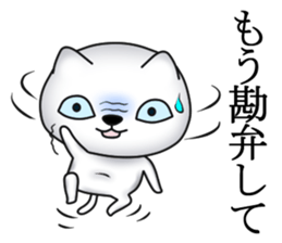 Cat of dark blue eyes sticker #11532960