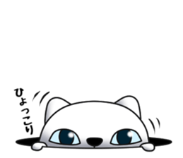 Cat of dark blue eyes sticker #11532968