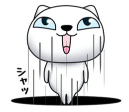 Cat of dark blue eyes sticker #11532969