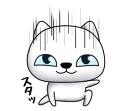 Cat of dark blue eyes sticker #11532970